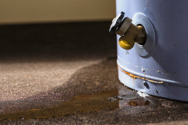 Best Basement water damage restoration  in Abernathy, TX