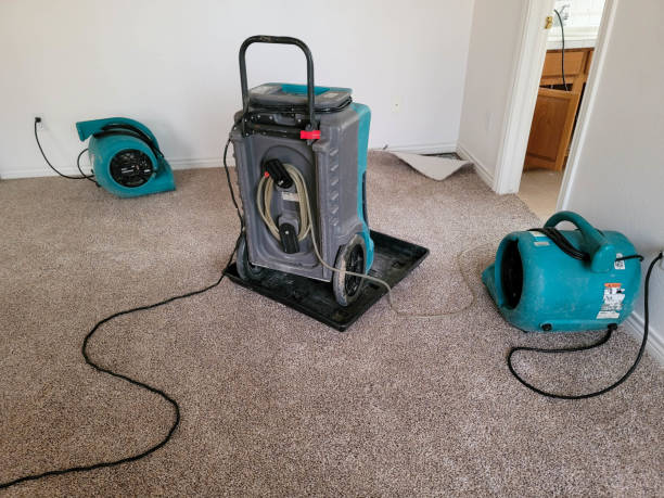 Best Water damage contractors near me  in Abernathy, TX