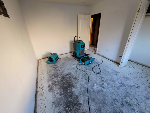 Best Emergency water damage restoration  in Abernathy, TX