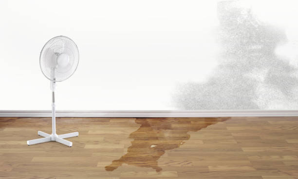 Best Residential water damage restoration  in Abernathy, TX