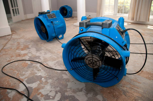 Best Fire Damage Restoration  in Abernathy, TX