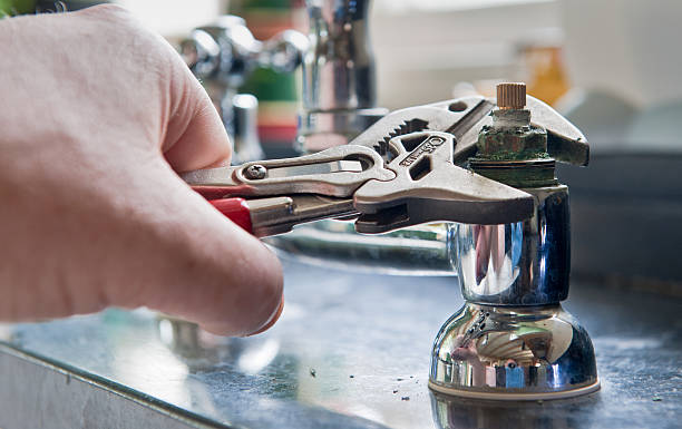 Best Mold removal after water damage  in Abernathy, TX