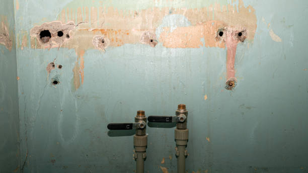 Best Water damage restoration near me  in Abernathy, TX