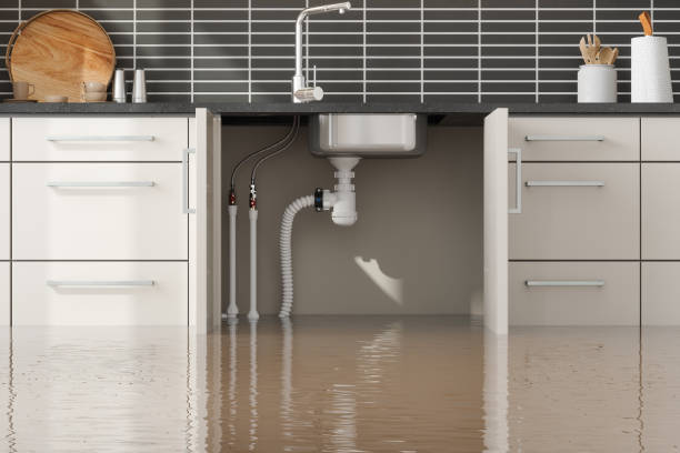 Best 24/7 water damage repair  in Abernathy, TX