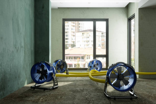 Carpet water damage restoration in Abernathy, TX
